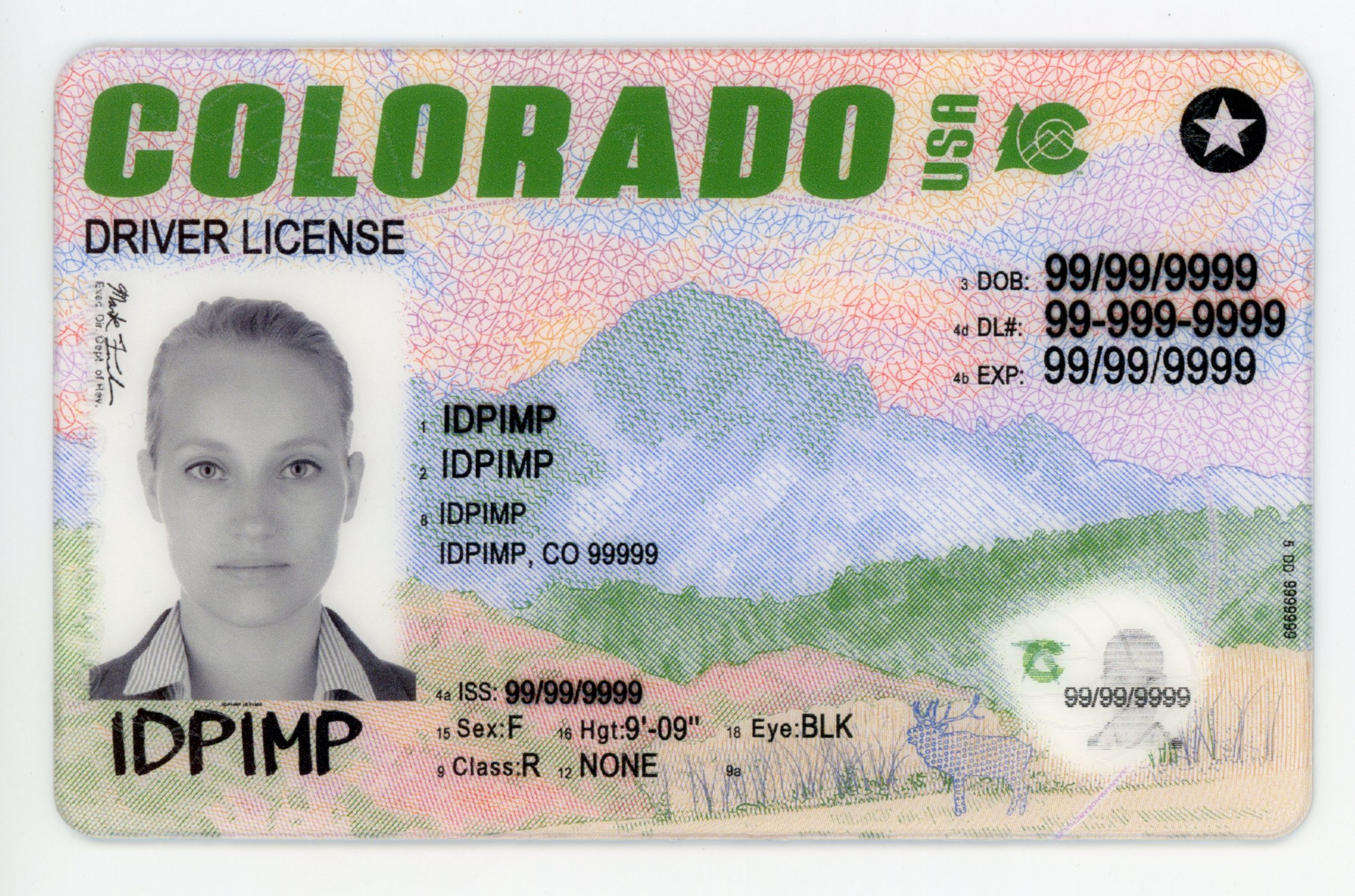 Colorado fake id