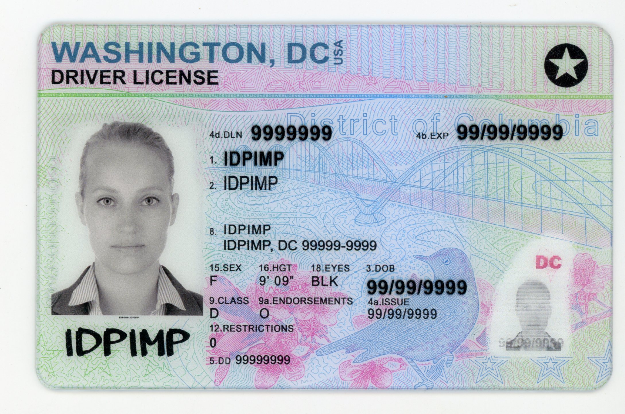 Washington DC fake id