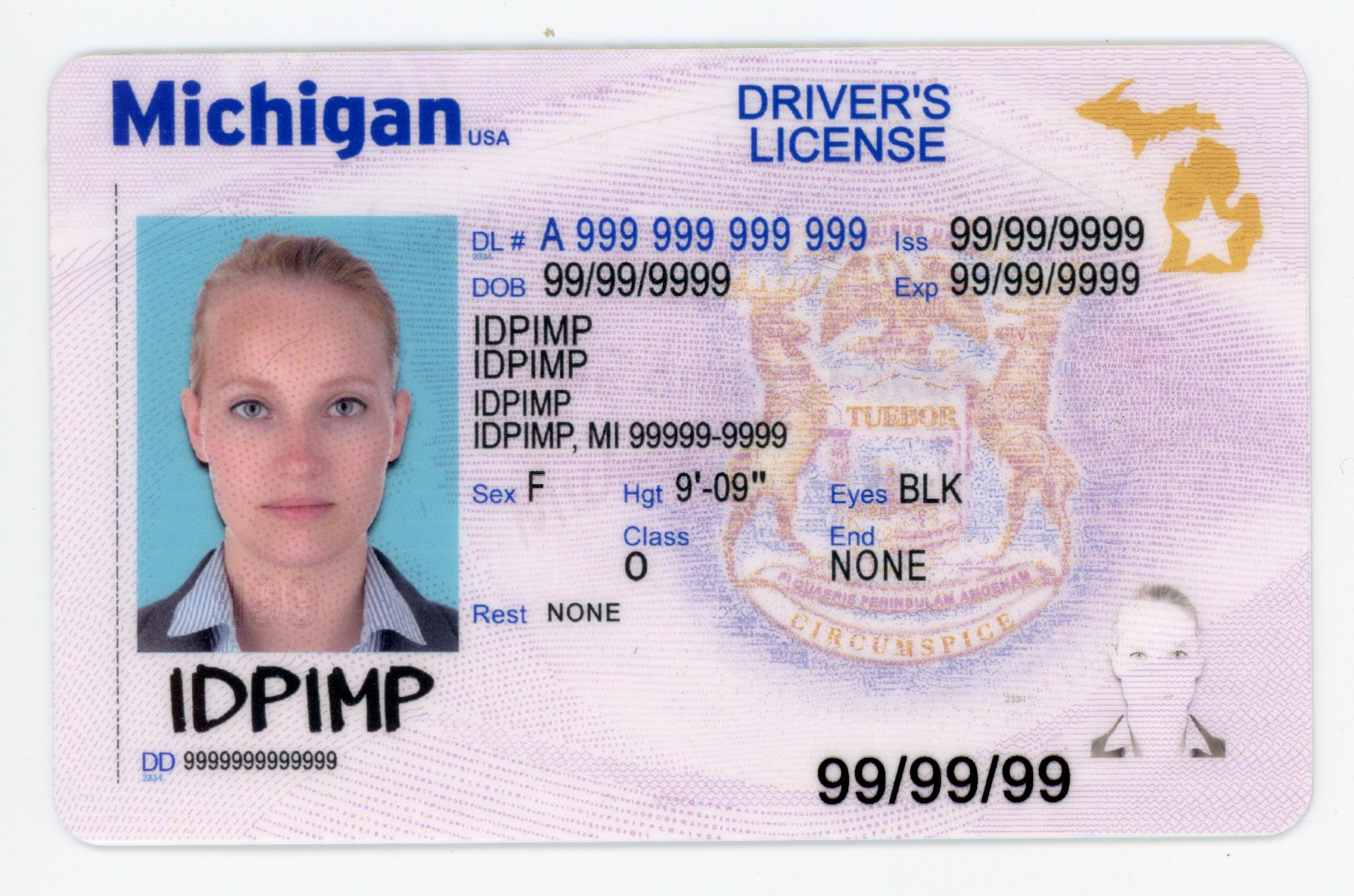 Michigan fake id