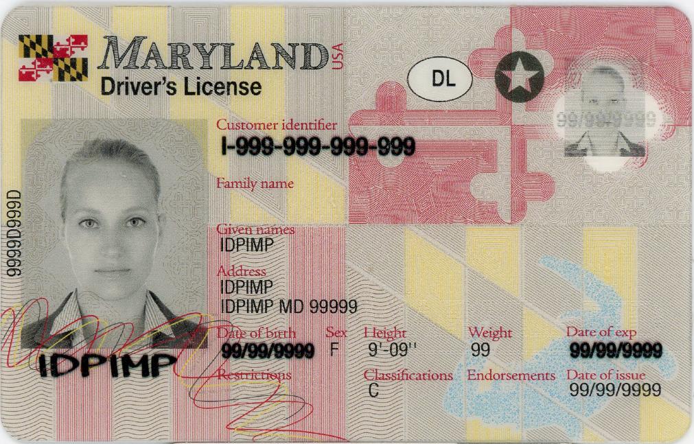 fake id for Maryland